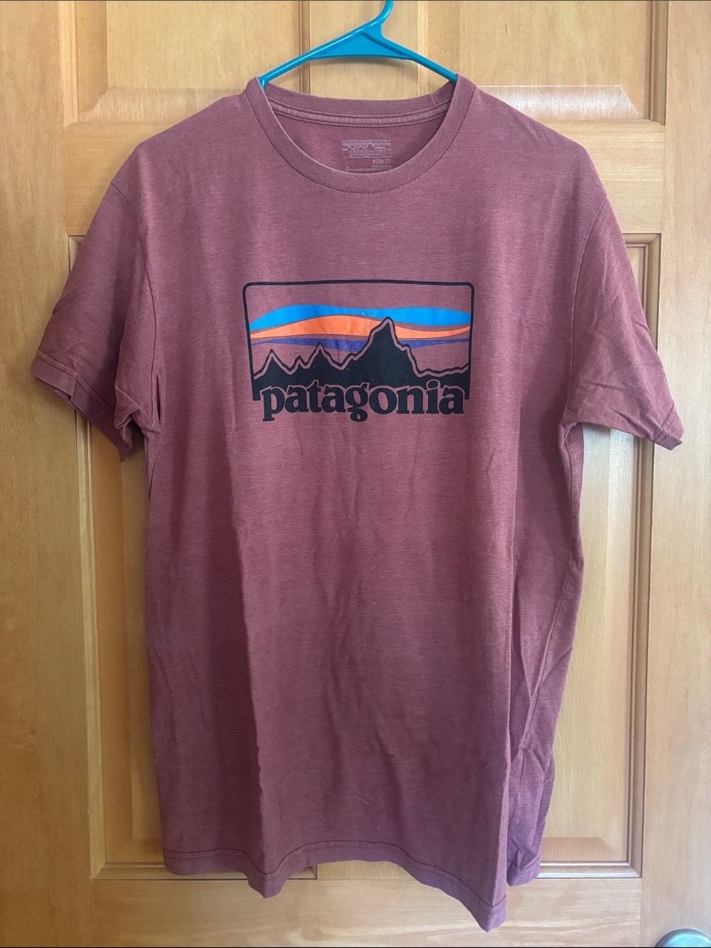 Patagonia Slim Fit Short-Sleeve Logo Tee in Brick Red